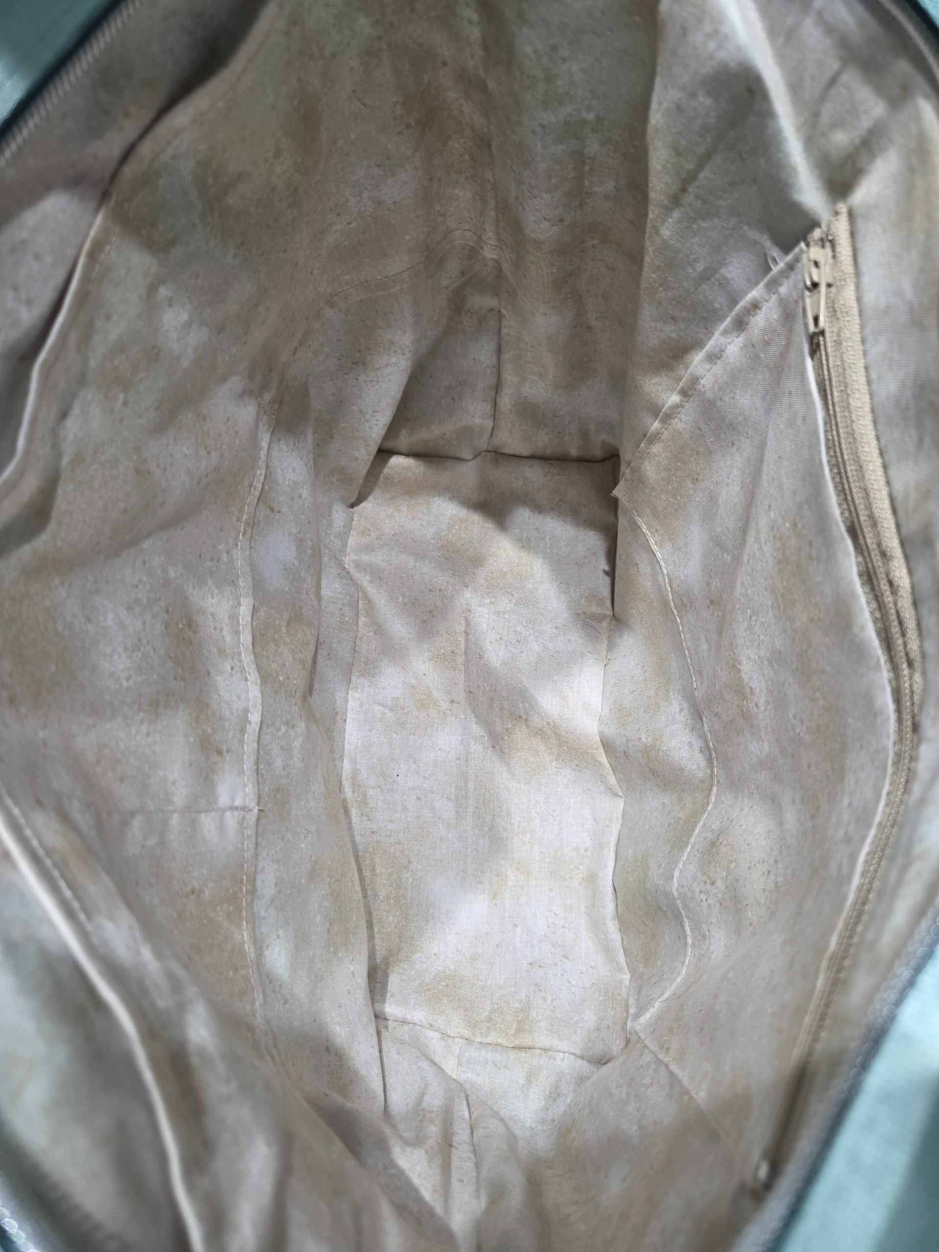 Dandelion Dreams Jasper Crossbody Bag - Image 4